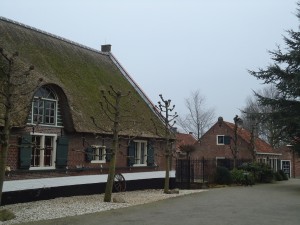 Oli's Favorite Dierenpension