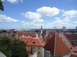 Bird's Eye View of the Rooftops